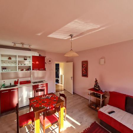 Apartman "Nina" ソコバニャ エクステリア 写真