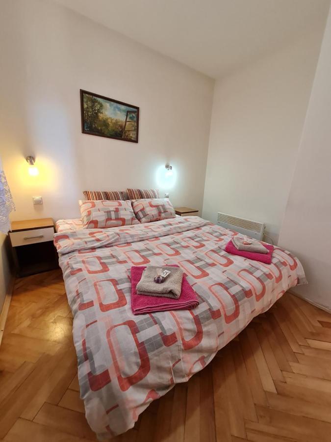 Apartman "Nina" ソコバニャ エクステリア 写真
