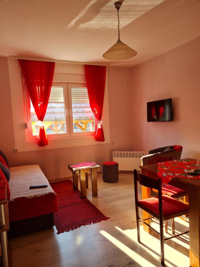 Apartman "Nina" ソコバニャ エクステリア 写真