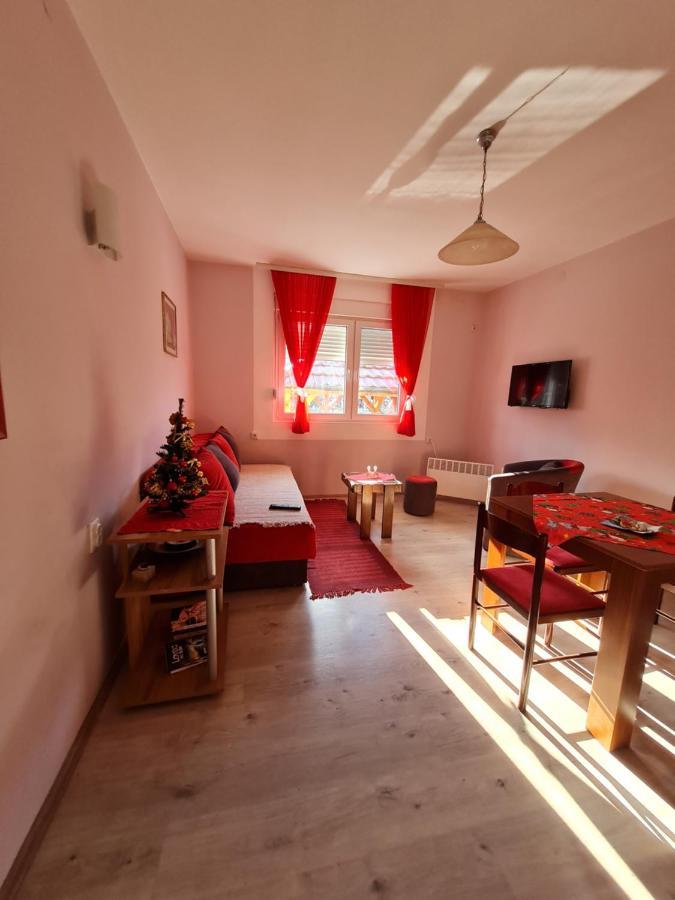 Apartman "Nina" ソコバニャ エクステリア 写真