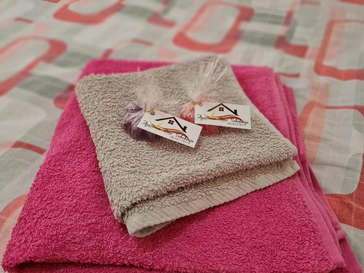 Apartman "Nina" ソコバニャ エクステリア 写真