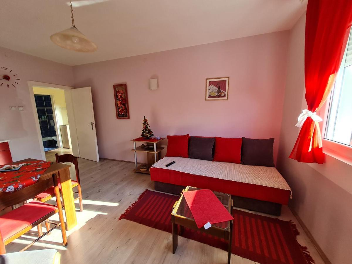 Apartman "Nina" ソコバニャ エクステリア 写真