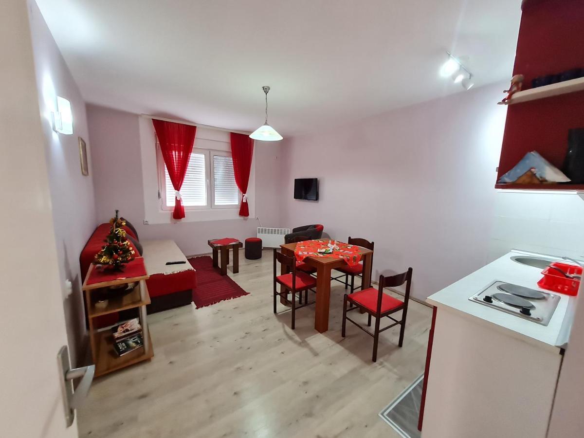 Apartman "Nina" ソコバニャ エクステリア 写真