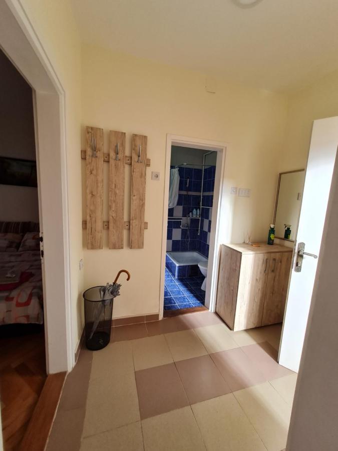 Apartman "Nina" ソコバニャ エクステリア 写真