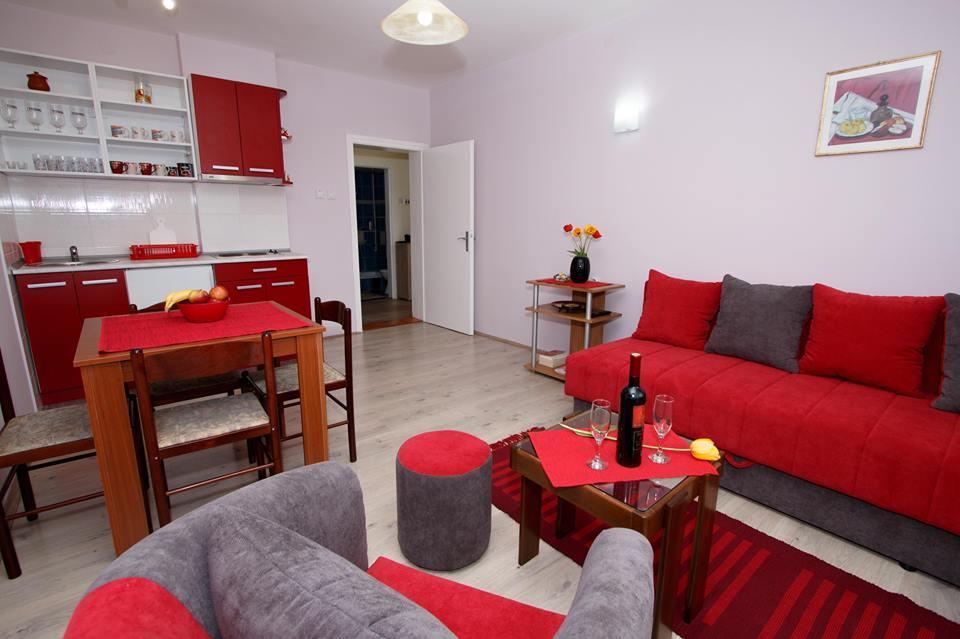 Apartman "Nina" ソコバニャ エクステリア 写真