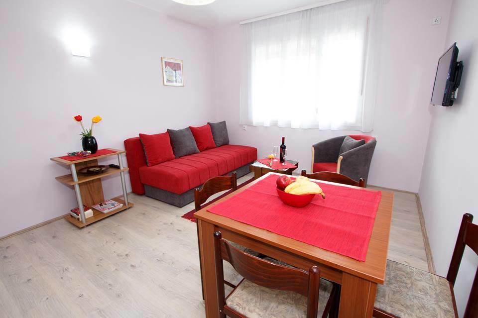 Apartman "Nina" ソコバニャ エクステリア 写真