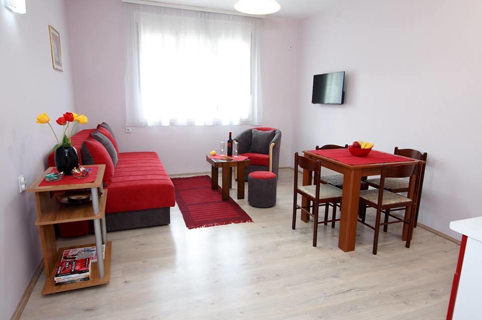 Apartman "Nina" ソコバニャ エクステリア 写真
